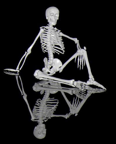 skeleton.jpg (18770 bytes)